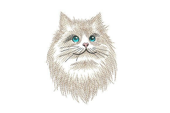 Fluffy Himalayan Cat Portrait: A Designer's Honest Review