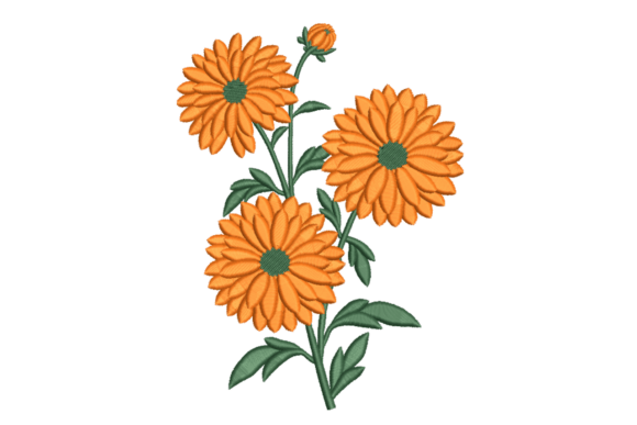 Orange Garden Blooms: A Designer’s Review