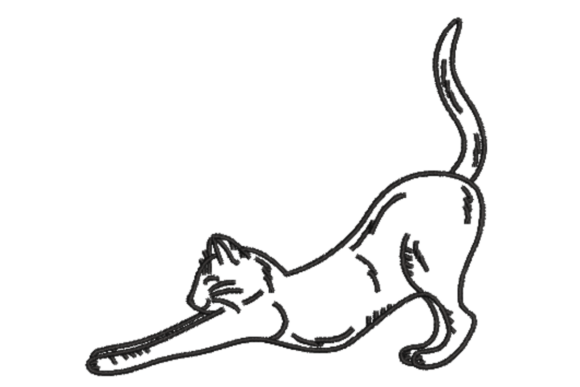 Stretching Cat Machine: A Review for Seasonal Sellers
